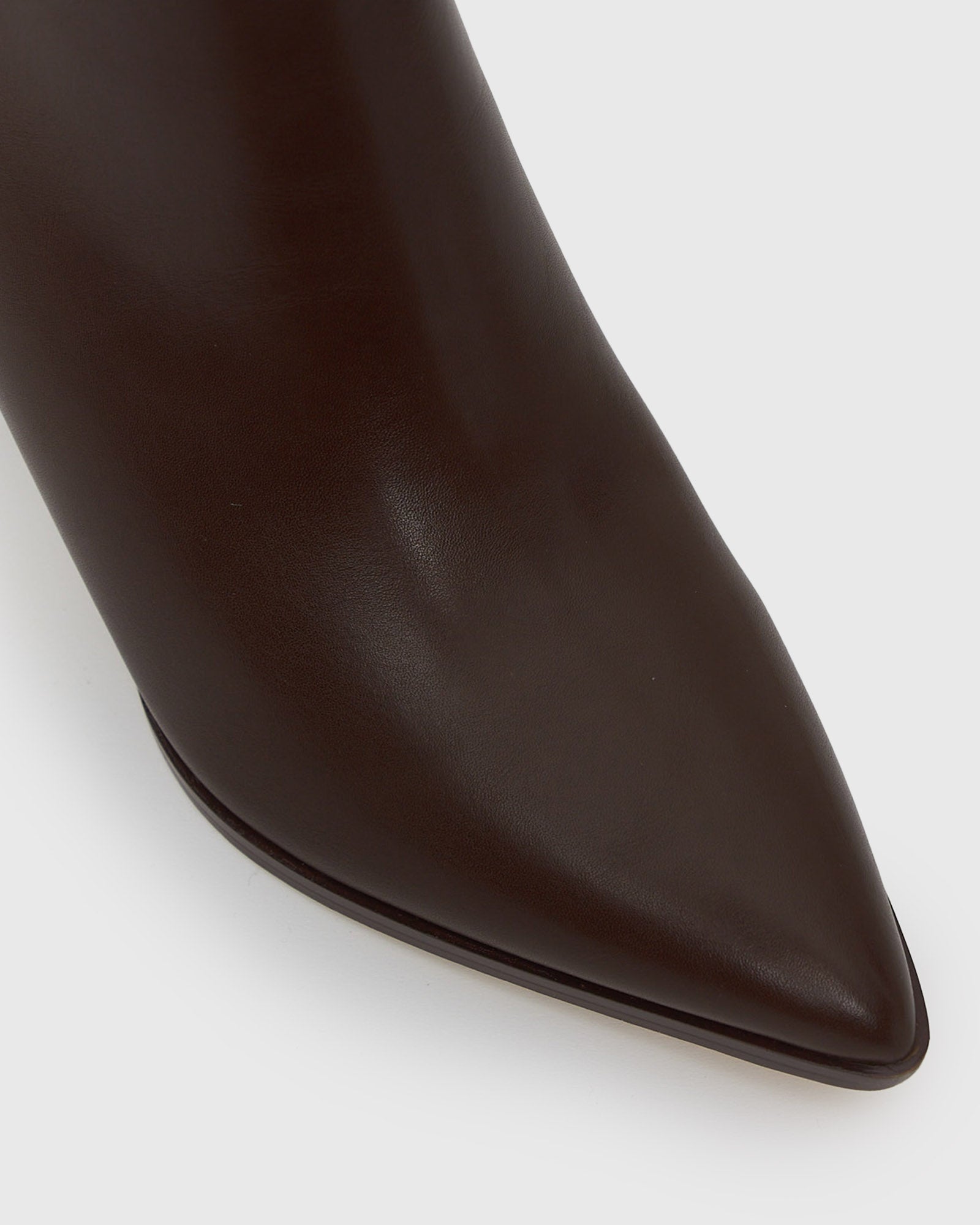 PRE-ORDER MAX Pointed Toe Ankle Boots